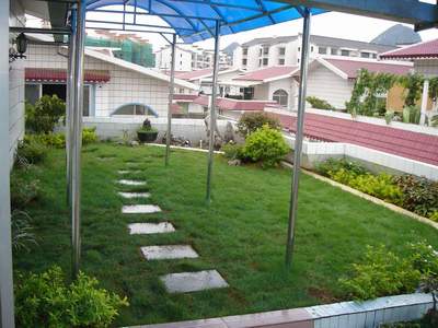 屋頂綠化工程 技術與生態價值的融合