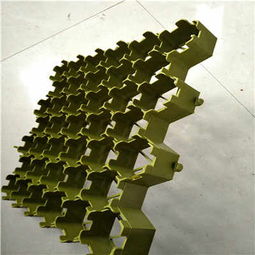 清遠塑料植草格廠家 以專業品質，助力綠色生態建設