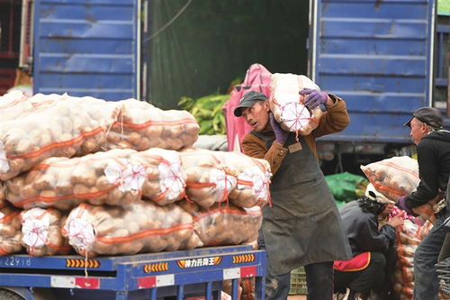 寒潮將至，備貨先行——太原河西市場全力保障市民“菜籃子”供應