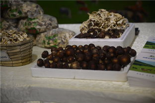 攜手豐臺(tái)，共繪鄉(xiāng)村振興新畫卷——豐臺(tái)區(qū)扶貧協(xié)作地區(qū)農(nóng)副產(chǎn)品推介活動(dòng)紀(jì)實(shí)